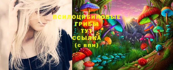 ECSTASY Аркадак
